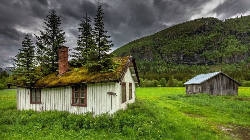 plant, travel, environment, wood, house, forest, sky, trees, grass, structure, mountains, clouds, wooden, farm building, beauty in nature, hovel, old, green color