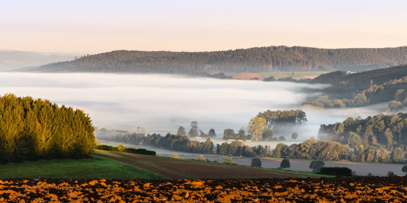 dunst, trees, hill, autumn, morgen, rural Scene, sunset, nature, germany, photography, lower  saxony, scenics, outdoors, tree, nebel, lake, landscape, landscape photography