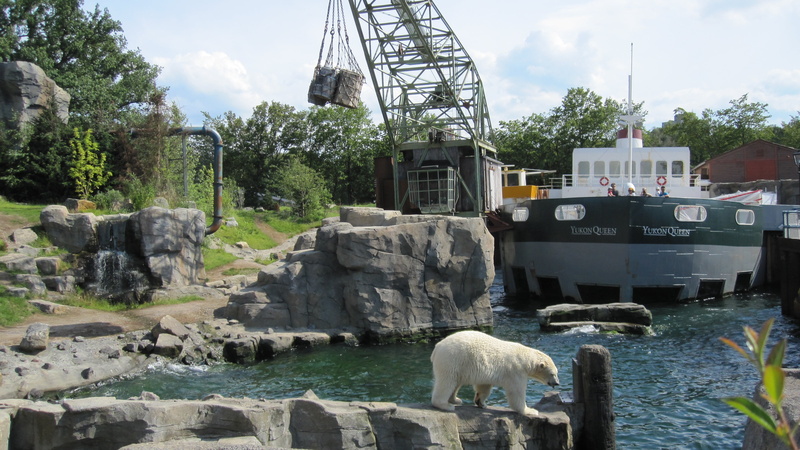 4K, mammal, lower saxony, nature, plant, built structure, animal wildlife, adventure zoo, architecture, animals in the wild, yukon bay, animal themes