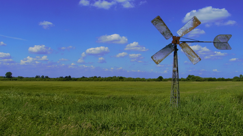 plant, non-urban scene, land, tranquil scene, scenics - nature, wing, prairie, lower saxony, grass, field, tranquility, sky, agriculture, outdoors, rural scene