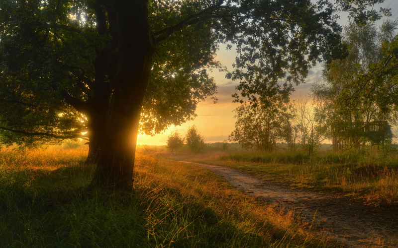 Lower, Sunset, Landscape, Saxony, Grass, Nature, Trees, Fall, 2K, Germany
