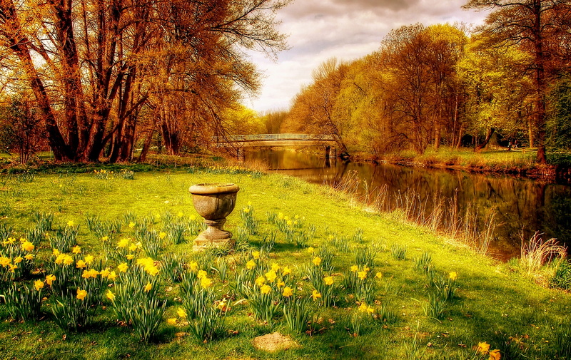 shore greenhouse, lower saxony, northern germany, meadow, change, braunschweig, tree, germany, plant, sky, water, spring, beauty in nature, clouds, bridge