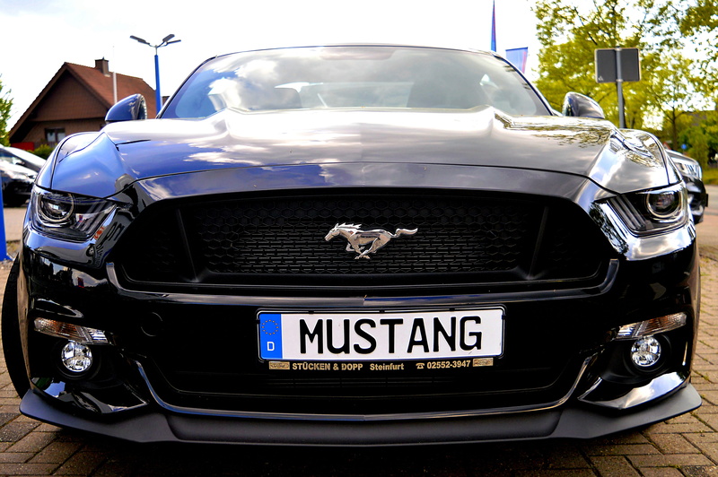 coat of arms, black, auto, horse, close-up, gloss, ford mustang, chrome, stationary, transportation, headlight, turbo, nobel body, no people, 400 hp, focus on foreground