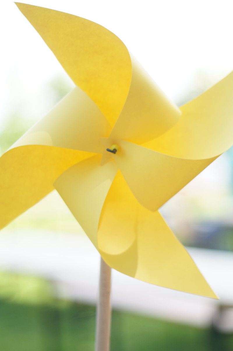 paper, lower saxony, 5K, wing, focus on foreground, nature, close-up, wind power, creativity, fuel and power generation, pattern, toy, pinwheel toy, wind turbine