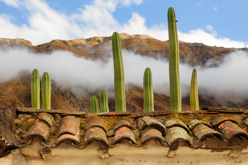 day, roof tile, roof, plant, 2K, green color, green, house, cloud - sky, brown, smoke - physical structure, water, no people, cactus, nature, beauty in nature