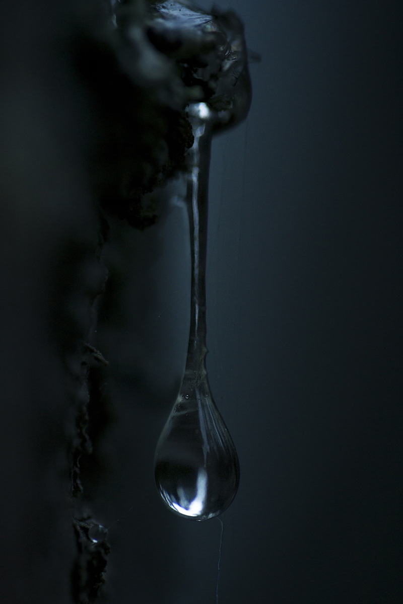resin, fragility, secretion, six, dark, smoke - physical structure, glass - material, food and drink, kitchen utensil, close-up, nature, 4K, tree, purity