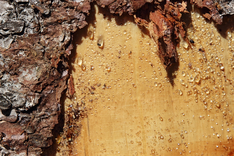 full frame, tears, architecture, wall - building feature, close-up, bark, 5K, outdoors, rock - object, no people, tribe, built structure, tree trunk, rough