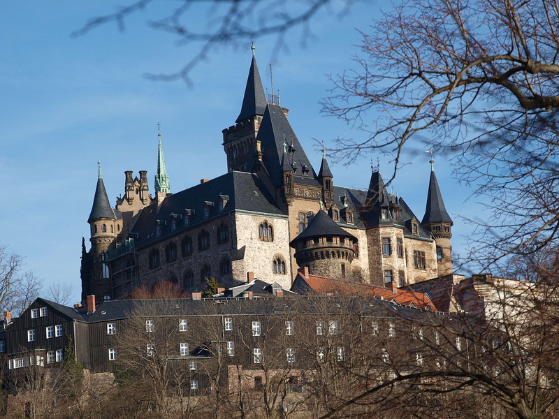 low angle view, bare tree, feudalmuseum, building exterior, no people, 2K, nature, place of worship, built structure, spire, the past, germany, plant