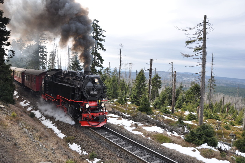 historically, steam locomotive, train - vehicle, Smoke, railroad track, transportation, Railway, train, resin, day, plant, nostalgia, nature, tourism, Winter
