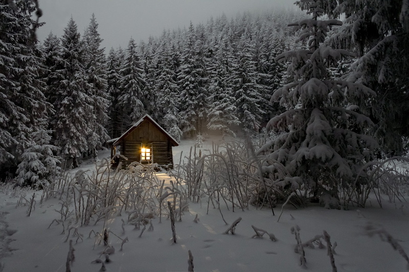 snow, log cabin, building exterior, built structure, cottage, 1080P, no people, architecture, house between, outdoors, pine, pine trees, trees, tranquility