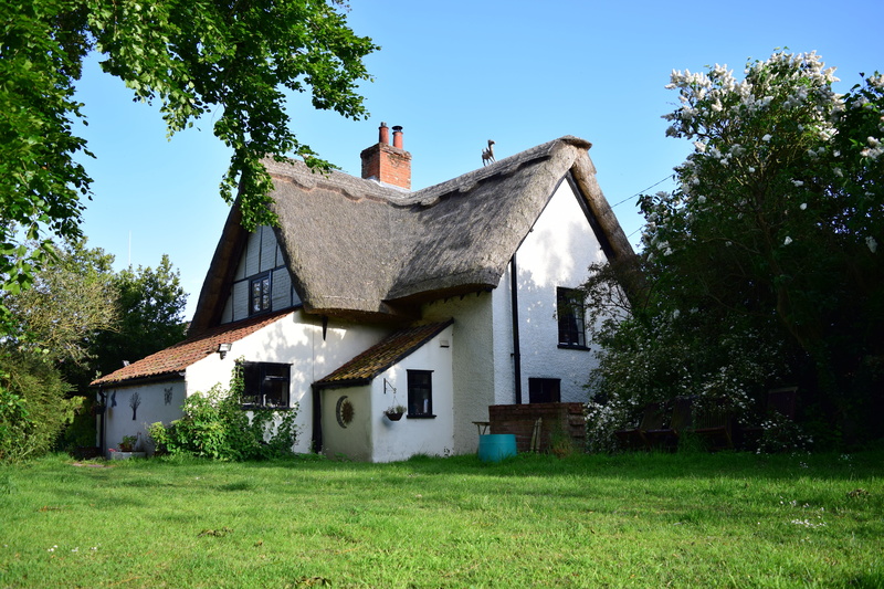 english, storey, plant, white, no people, building, growth, old, cottage, 5K, rural, roof, thatch, sky, thatched, nature, place of worship, gray, land