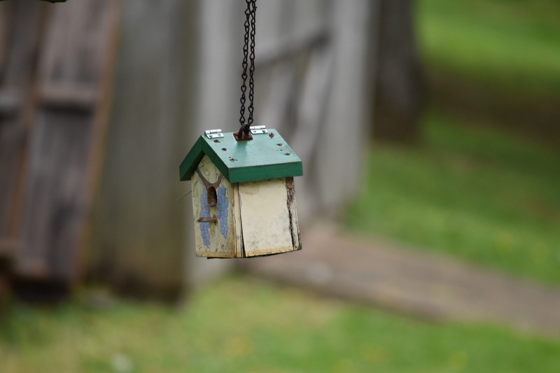 close-up, focus on foreground, small, park, built structure, outdoors, metal, wood - material, day, field, birdhouse, absence, grass, single object, 5K