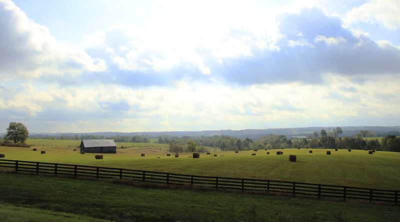 day, barn, farmer, harvest, no people, hay bales, tranquil scene, pasture, tranquility, sky, field, tree, oat, fleming, nature, farm, country, kentucky