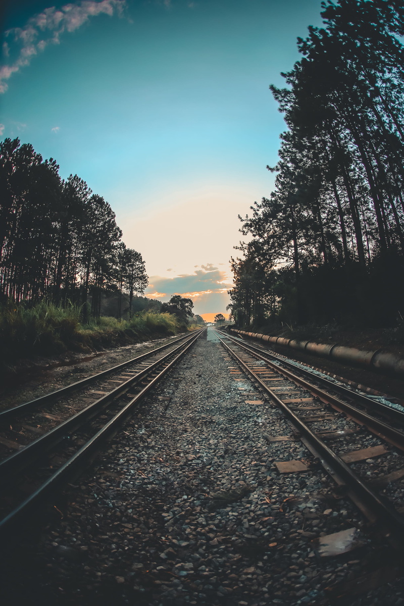 long, train, rail transportation, landscape, straight, tracks, tranquil scene, dirt road, train tracks, brazil, transportation, gravel, sky, rails, plant