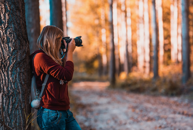 photography themes, photographer, 5K, fall, blur, person, holding, taking picture, forest, woman, tree, summer, park, adult, photographing, camera, woods