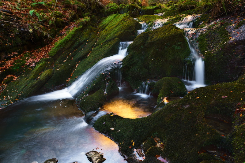 freshness, falling, landscape, scenics, tree, 1080P, outdoors, Sun, green, rock - Object, stream, daytime, water, moss, III, forest, creek, waterfall