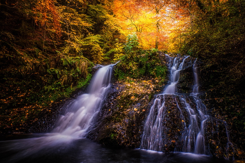 TREE, forest, surrounded, 4K, waterfall, waterfalls, scenics, green Color, leaf, landscape, moss, flowing Water, WATER, freshness, cascade, AUTUMN, leaves