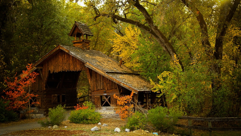 rustic, no People, cottage, scenics, built Structure, tranquil Scene, fall, old, non-Urban Scene, land, barn, plant, rural Scene, sunny, log Cabin, wood - Material