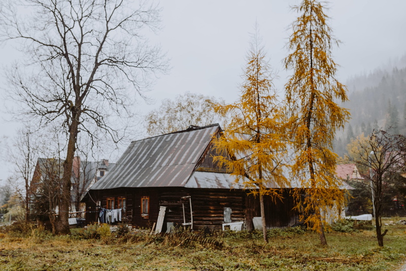mountains, cottage, forest, cabin, abandoned, bare tree, building exterior, sky, deterioration, outdoors, tree, old, environment, built structure, change