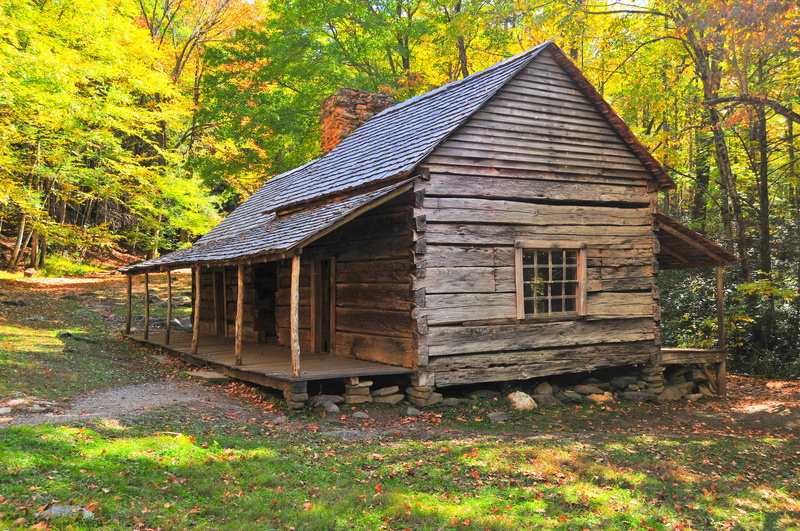building exterior, hut, house, rustic, wood - Material, no people, built structure, rural Scene, change, building, smoky, forest, 4K, field, old, smoky mountains