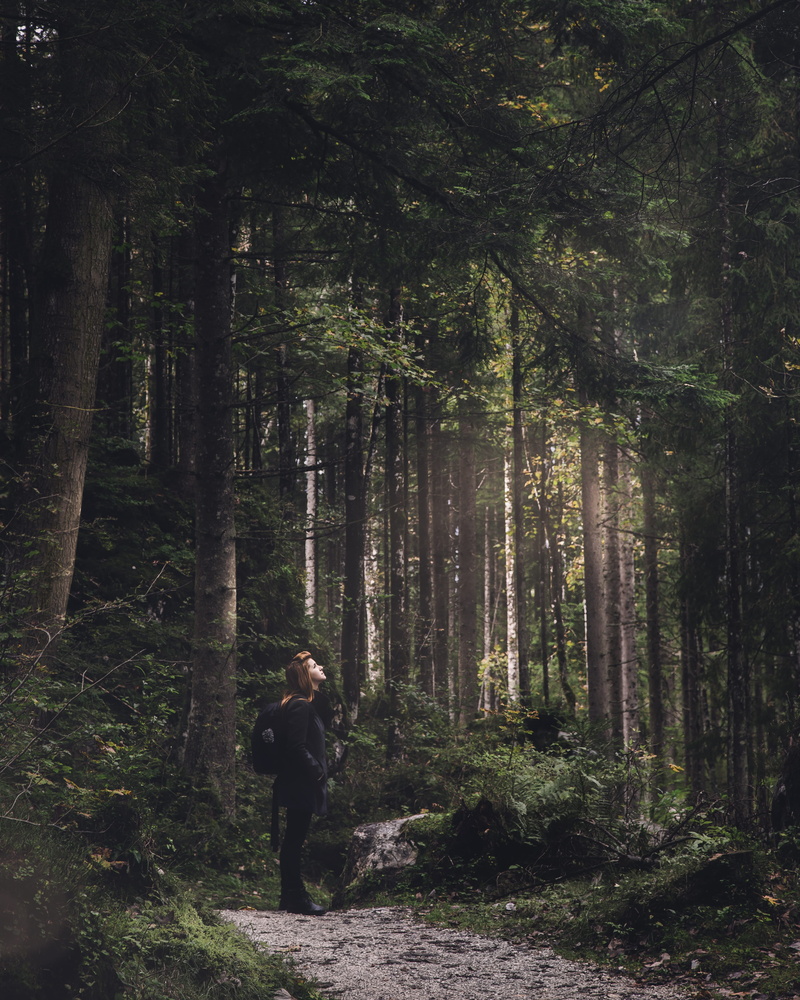 one person, trunk, jungle, forest, light, land, 4K, flare, redwood, outdoors, vegetation, be, grove, trail, rainforest, beauty in nature, leisure activity
