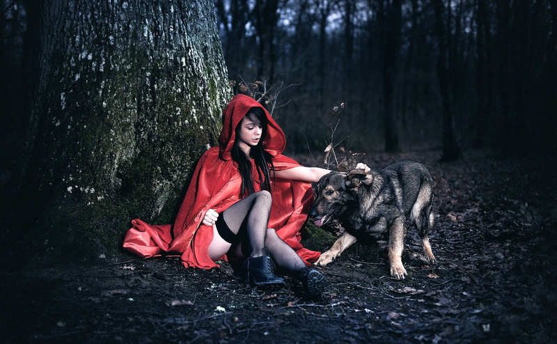 nature, tree trunk, young women, dog, full length, females, one animal, forest, woodland, adult, beauty, Little Red Riding Hood, one person, hair, beautiful woman
