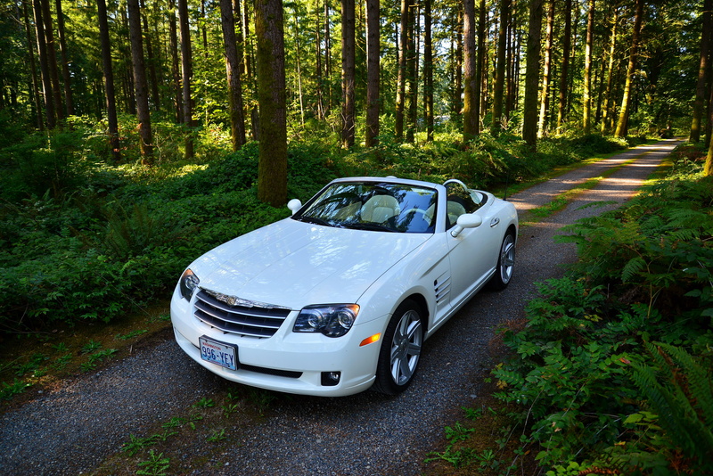 chrysler, day, growth, silver colored, road trip, outdoors, tree, trunk, new, shiny, mode of Transport, sports Car, engine, white, car, modern, germany
