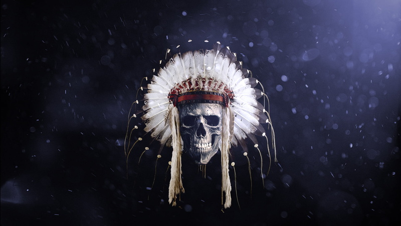 skull, Native American clothing, feathers, headband, 1080P