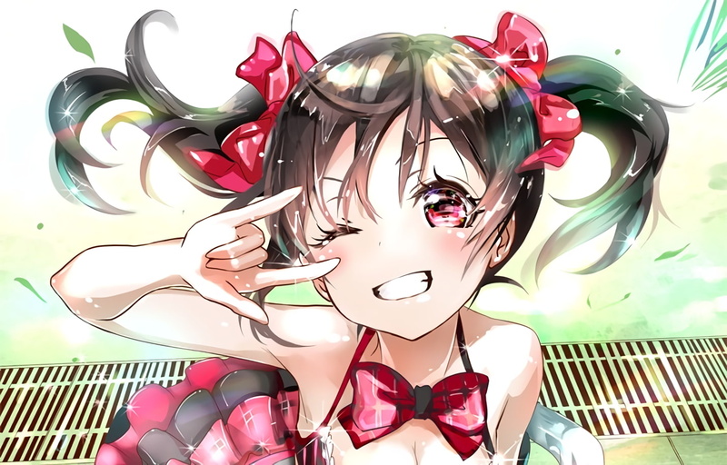 Love Live!, pink color, human representation, looking at viewer, twintails, day, smiling, Yazawa Nico, red eyes, lifestyles, creativity, still life, anime girls