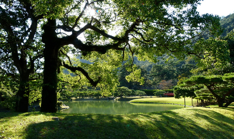 Japan, Takamatsu, garden, branches, pond, foliage, Park, Ritsurin Garden, the sun, 2K, grass, trees