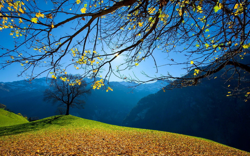 Mountains, Autumn, 1080P, Sun, Blue, Sky, Trees, Foliage