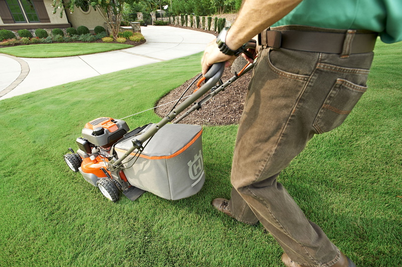 outdoors, shorts, mower, grass, walking, one man only, garden shop, plant, adults only, lifestyles, home garden, only men, day, lawn, adult, red, low section