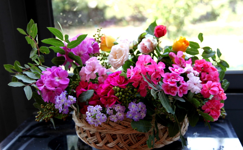 many, red, pink, backgrounds, flowering plant, composition, bunch, beauty In Nature, flower arrangement, roses, basket, purple, table, summer, inflorescence