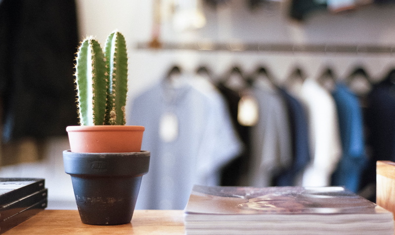 selective focus, store, hanger, indoors, refreshment, close-up, focus on foreground, still life, flowerpot, fashion, clothing, no people, focus, vase, business