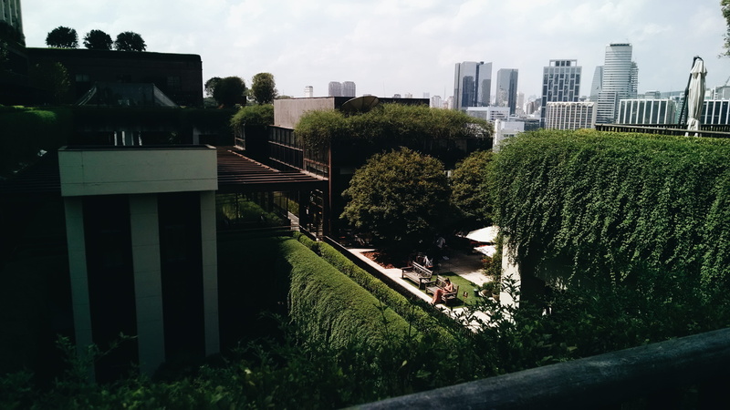 growth, brazil, landscaping, são paulo, building exterior, outdoors, design, no people, 4K, day, sky, shopping cidade jardim, garden, skyscraper, building