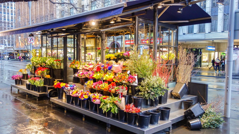 built structure, stock, building exterior, nature, retail, store, color, no people, patio, plants, architecture, market, outdoors, choice, day, business
