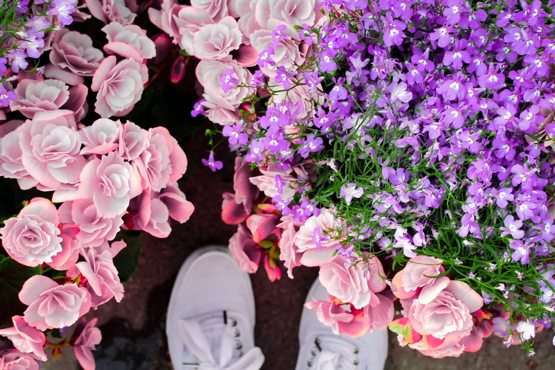 springtime, fragility, bouquet, flower, close-up, botanical, human body part, flora, plant, outdoors, standing, beautiful flowers, nature, freshness, blooming