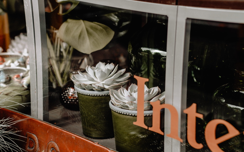 succulent, cactu, cafe, sign, flower, store, photography, plants, potted, letter, 4K, restaurant, cute, white, food, pot, text, shop, glass, garden, gardening