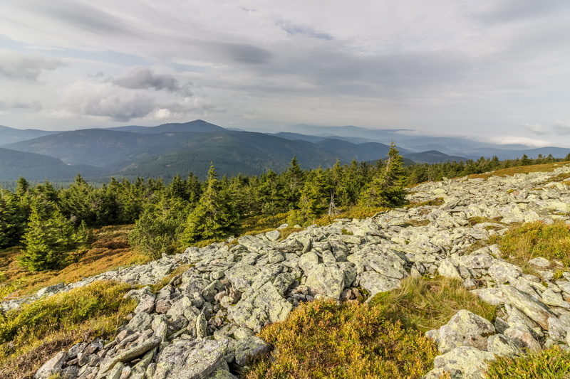 greem, landscape, environment, rock, scenics - nature, mountain range, plant, mountain peak, solid, sky, tree, nature, idyllic, outdoors, beauty in nature