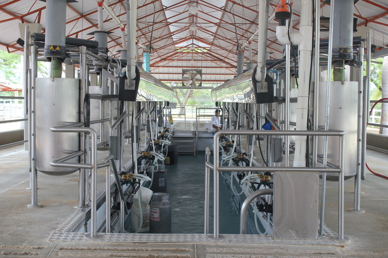 car plant, transportation, station, the way forward, land vehicle, mode of transportation, railing, Milk, technology, bicycle, in a row, Order, indoors