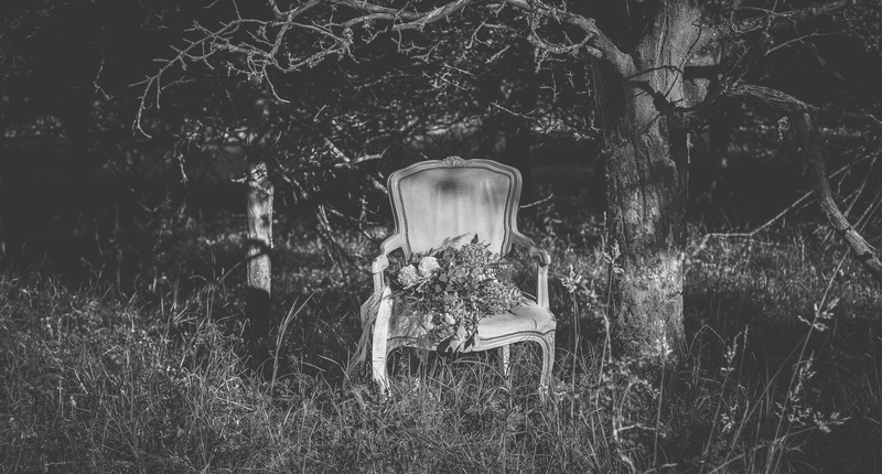 grass, seat, day, container, wedding, land, weddinginspiratiom, outdoors, nature, weddingdetails, tree, abandoned, old, plant, forest, details, growth