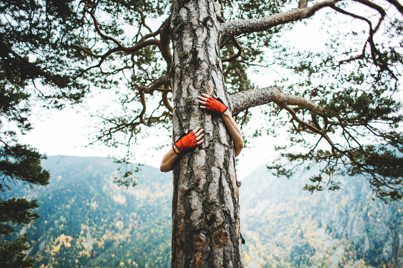 Earth, one person, forest, low angle view, Hands, real people, land, Backgrounds, plant, outdoors, beauty in nature, branch, growth, Outdoor, Boho, trunk