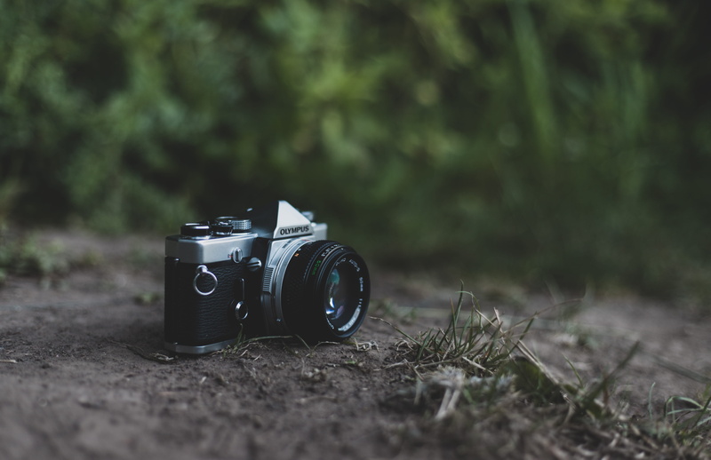 film, photographic Equipment, photo, digital, camera, old, equipment, photographing, forest, 5K, camera - Photographic Equipment, vintage, single Object