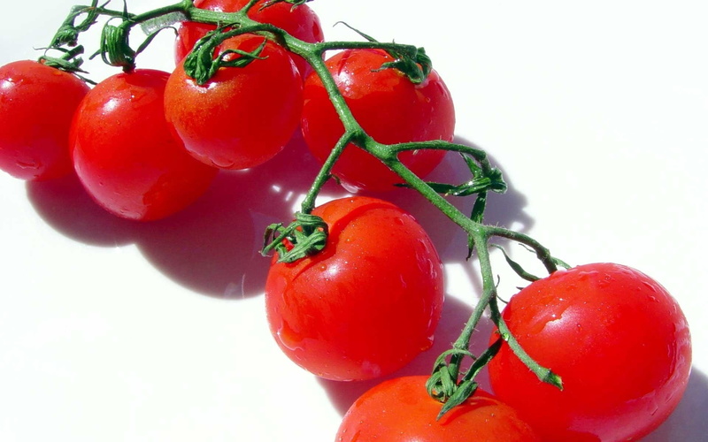 backgrounds, water, dieting, red, nature, freshness, close-up, tomato, group of Objects, agriculture, healthy Eating, raw Food, vegetarian Food, stem, organic