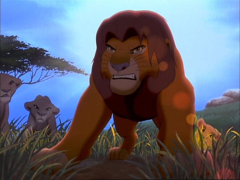 simba, angry, lion, movie, simba lion king, classic, king, 480P