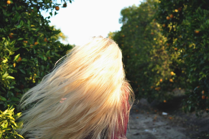 real people, adult, blond hair, day, nature, headshot, hair, hairstyle, tree, girl, united states, one person, portrait, california 1, human hair, mill valley