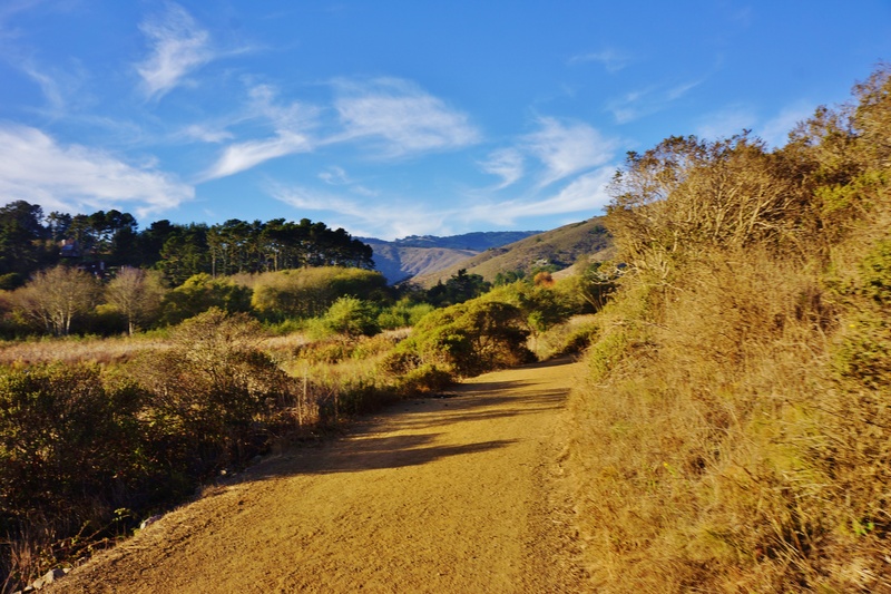 5K, wilderness, non-urban scene, no people, environment, sky, cloud - sky, tranquil scene, tranquil, natural, road, direction, scenic, footpath, marin county