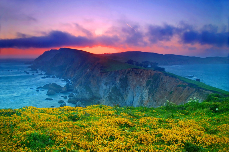 tourism, beach, Point Reyes National Seashore, tranquility, no People, plants, scenics, cliff, USA, rock, sky, the ocean, beauty In Nature, sunset, vacations