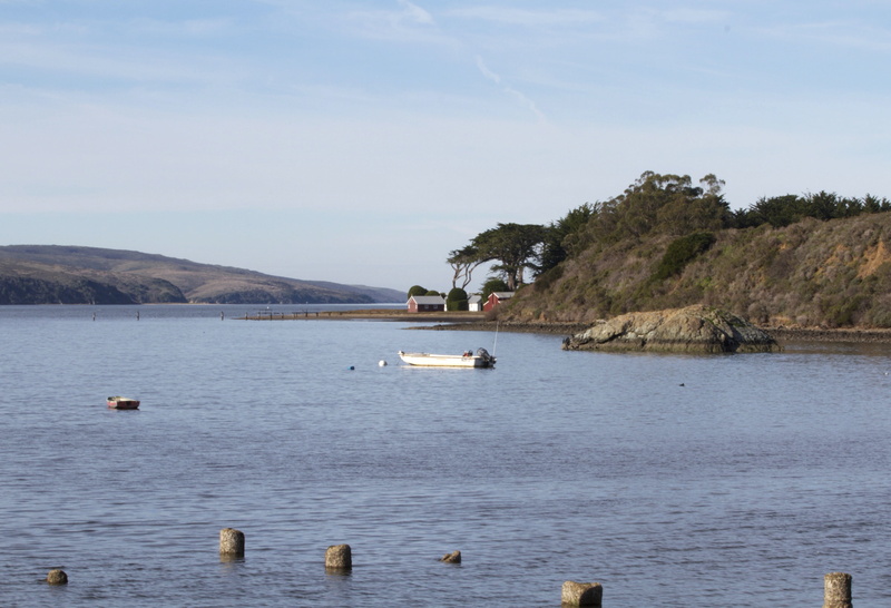 marin county, scenic, marin, land, animal themes, water, sea, usa, tidal, sky, tranquility, coastal, tranquil scene, outdoors, beauty in nature, california