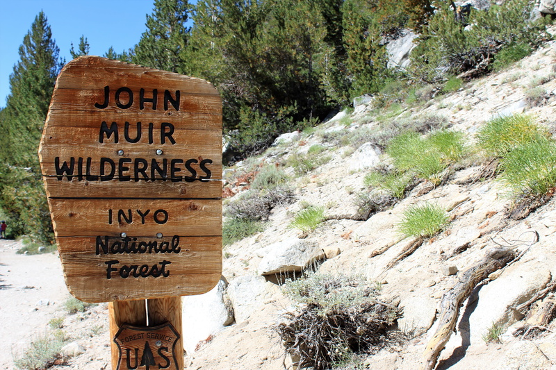 trees, solid, text, rocks, plant, western script, communication, park, daylight, guidance, 5K, john, rock, rock - object, tree, woods, sign, warning sign